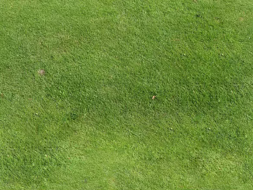 Grassland texture (ID:ffaeh972682)