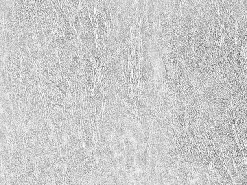 Coarse-grain leather texture (ID:ffacg60065)