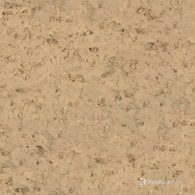 Beach Beach texture