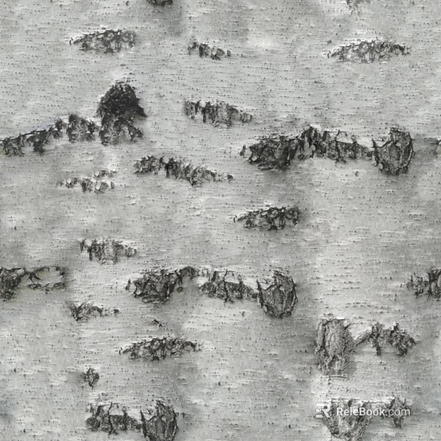 Silver gray birch bark wall decoration texture