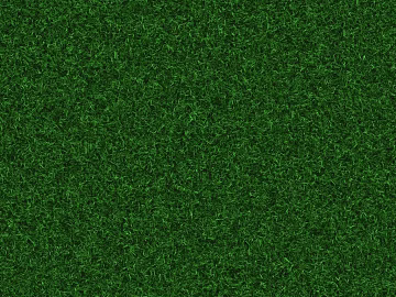 Turf texture (ID:ffagg62663)