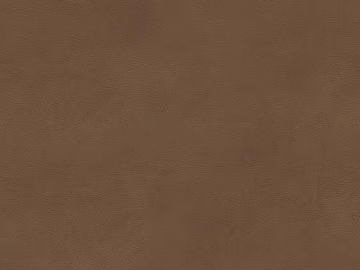 Coarse-grain leather texture (ID:ffach919186)