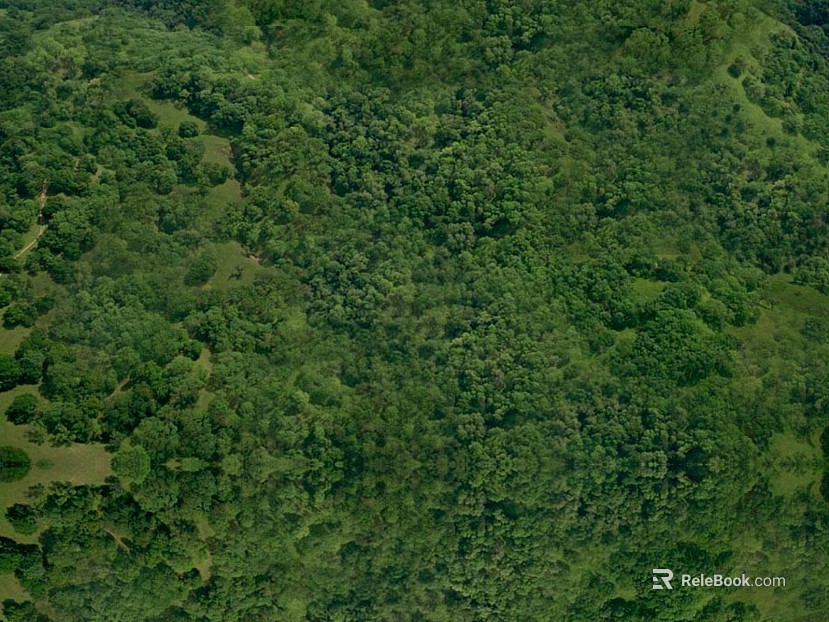 Wild Scenery texture