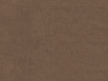 Mud texture (ID:ffaeg22858)