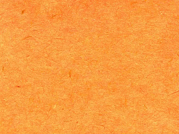 fine grain leather texture (ID:ffach217950)