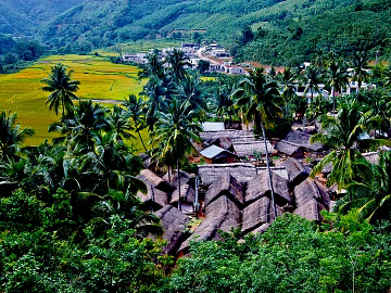 Pastoral scenery texture (ID:ffaeg54178)