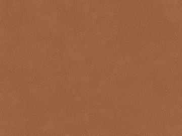 fine grain leather texture (ID:ffacg33058)