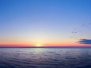 Wild Scenery texture (ID:ffach262665)