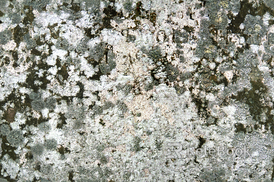 A coarse, gray stone texture with uneven, jagged surfaces and deep crevices, resembling weathered rock.