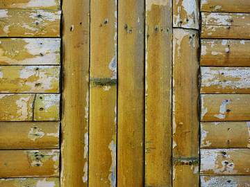 Bamboo texture (ID:ffajg38221)