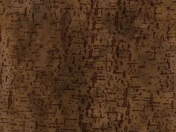 bark texture (ID:ffabg61810)
