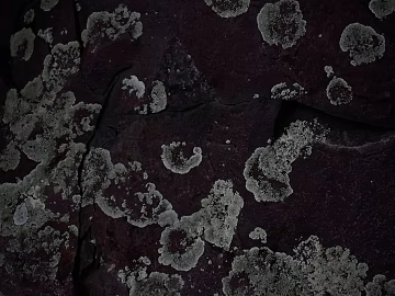 Rock texture (ID:ffabg71017)