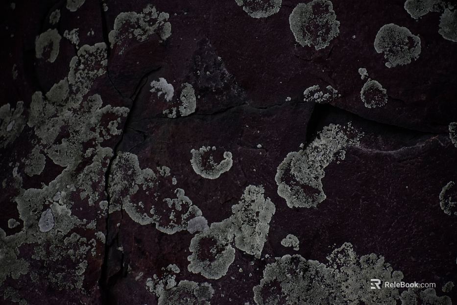 Rock texture