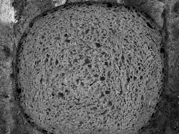 Black and White Bump texture (ID:ffaeg64000)