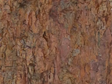 bark texture (ID:ffabf9863)