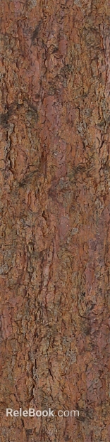 bark texture