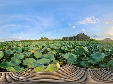 Park Lotus HDR texture (ID:ffach389478)