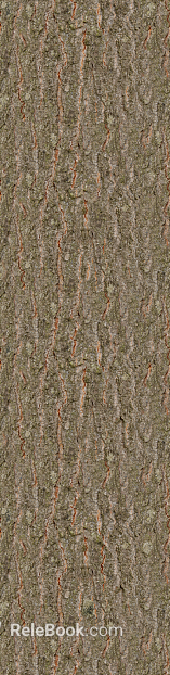 bark texture