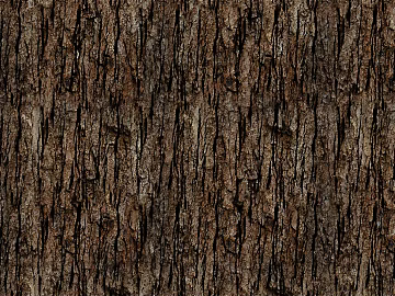 Antique Curry Bark 3d model