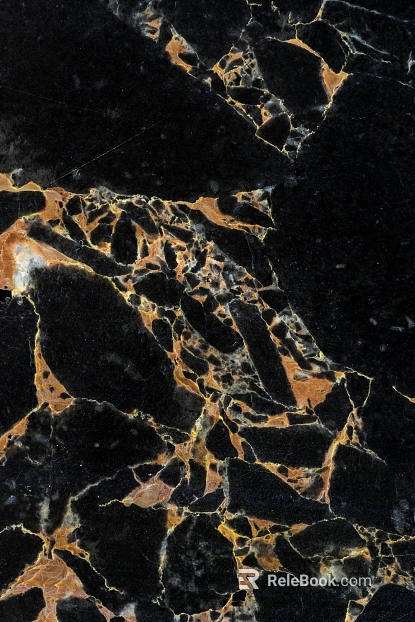 Black Golden Flower Marble texture