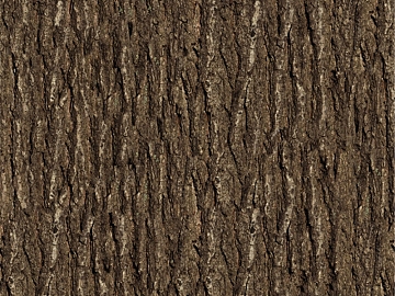 bark texture (ID:ffacg92201)