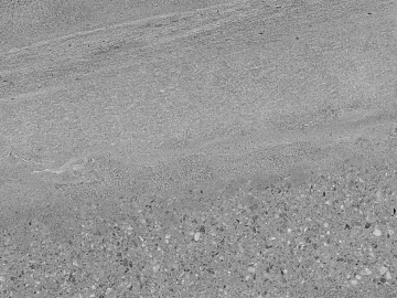 Rock texture (ID:ffajg20152)