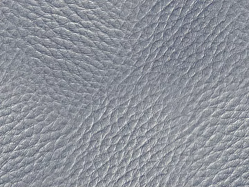 Coarse-grain leather 3d model