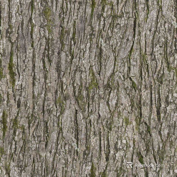 ancient tree bark texture