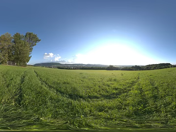 Outdoor Grass Day Sunny Day HDR texture (ID:ffabg86241)