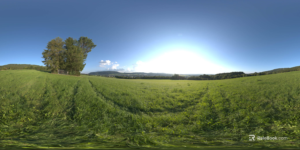 Outdoor Grass Day Sunny Day HDR texture