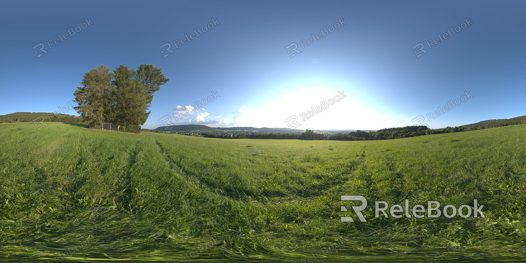 wild hdri texture