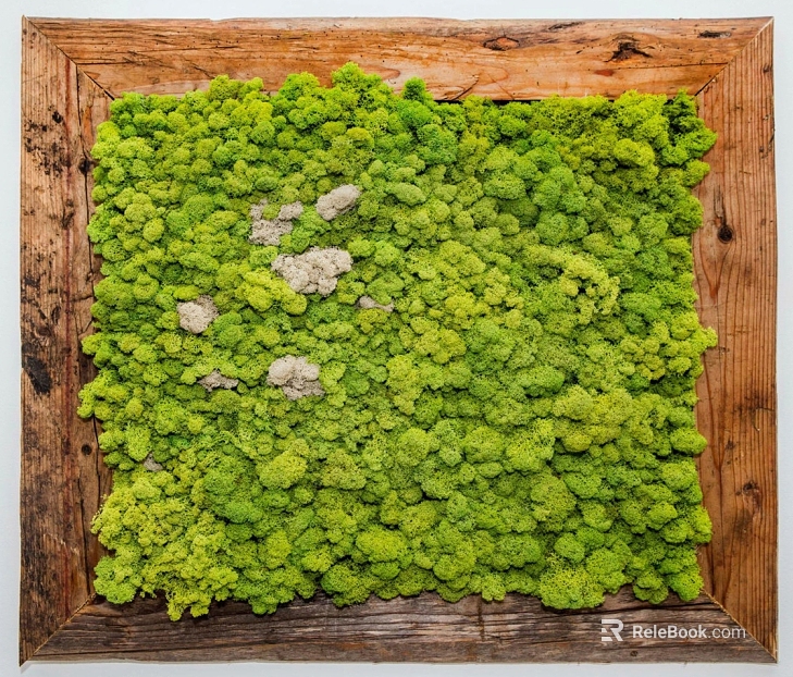 Plant wall texture