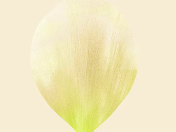 Petals texture (ID:ffagg54802)
