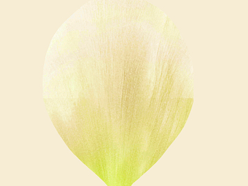 Petals texture (ID:ffagg54802)