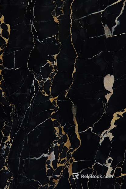 Black Golden Flower Marble texture