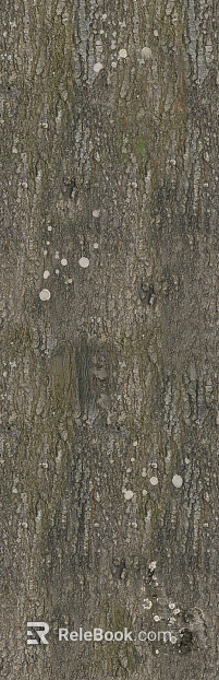 bark texture