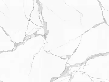 Jazz White 3d model