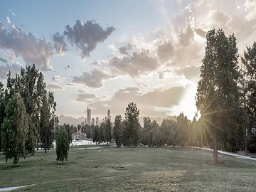 Exterior texture (ID:ffaaf4737)