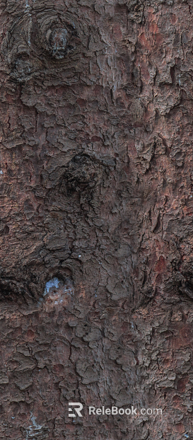 bark texture
