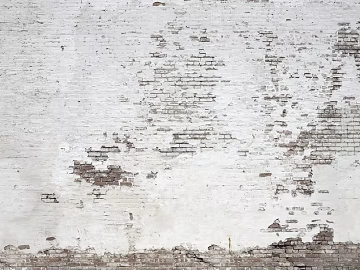 Brick wall texture (ID:ffach443866)