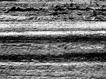Black and white wood grain texture (ID:ffach109486)