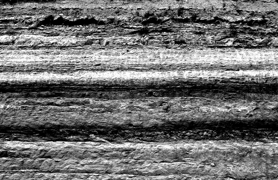 Black and white wood grain texture