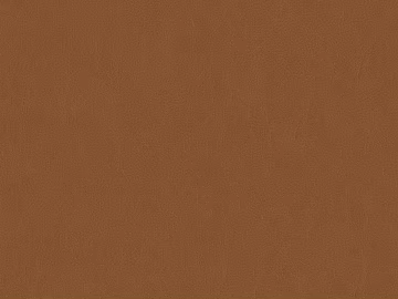 fine grain leather texture (ID:ffaeg01725)