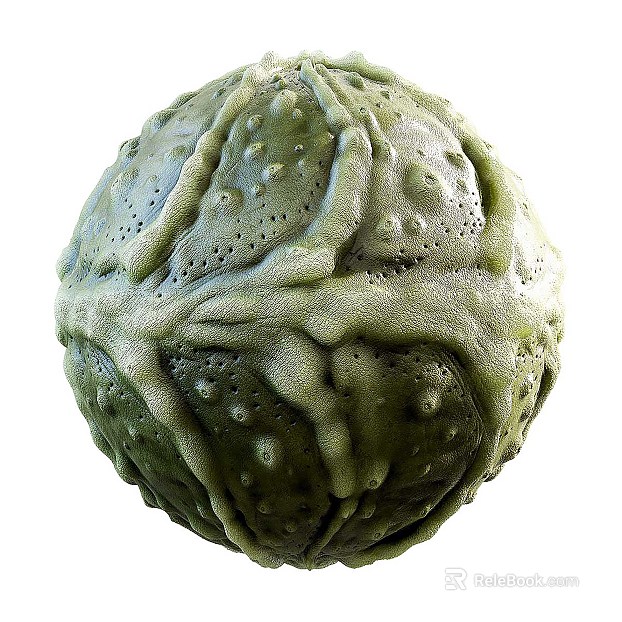 Biological PBR texture
