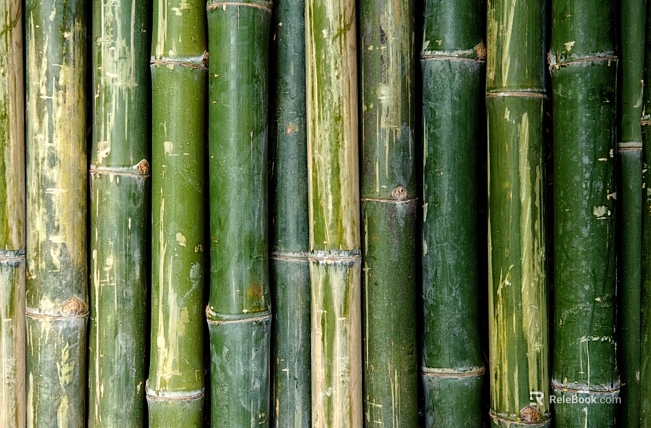 Bamboo texture