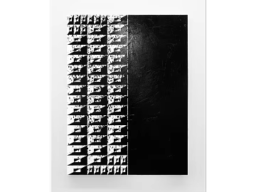 black and white painting texture (ID:ffajg62721)