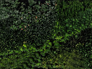 Plant wall texture (ID:ffaag99462)