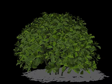 Plants texture (ID:ffacg31088)