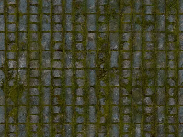 Moss stone paving with green ash texture (ID:ffaeh625396)