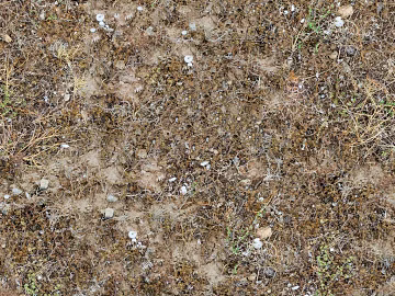 Turf texture (ID:ffhde942)